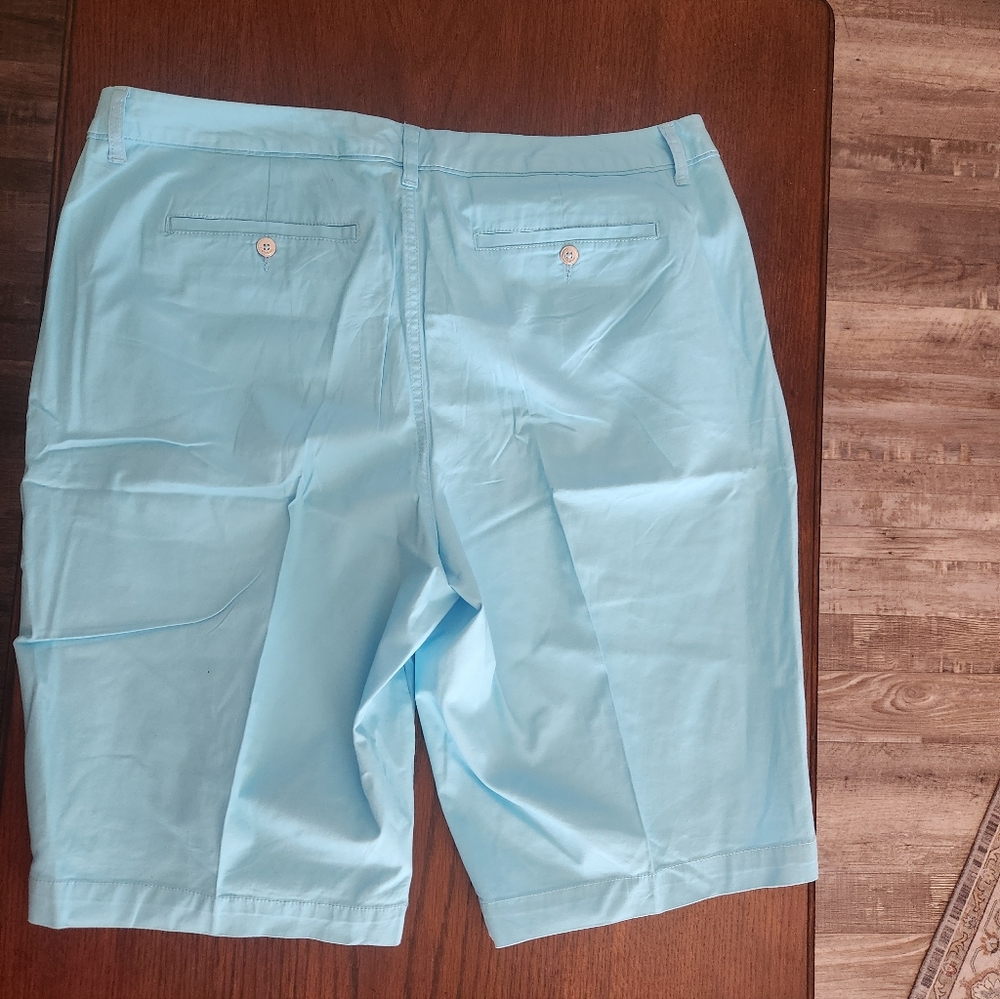 Lot of 3 Belk shorts NWT Rafaella, gently worn Kim Rogers and Bandolino 18W - Picture 7 of 16